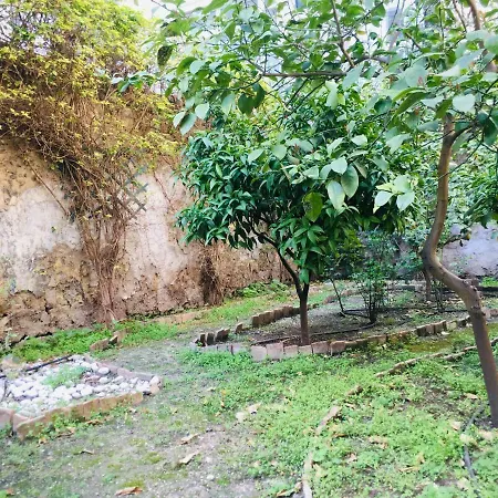 Black&white Garden Apartment
